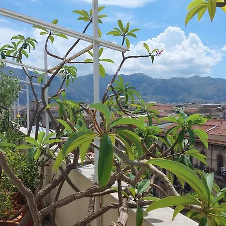 Settimocielo * Palermo